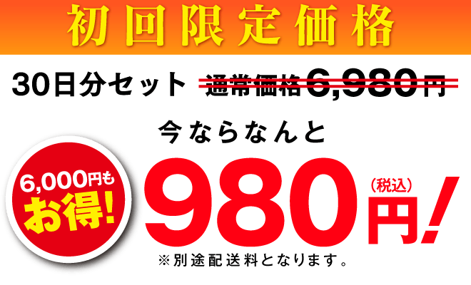 初回限定30日分セット